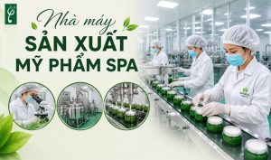 Nhà máy sản xuất mỹ phẩm spa