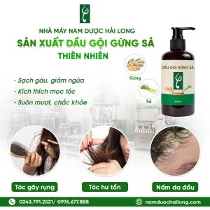 Công Ty Sản Xuất Mỹ Phẩm Thiên Nhiên