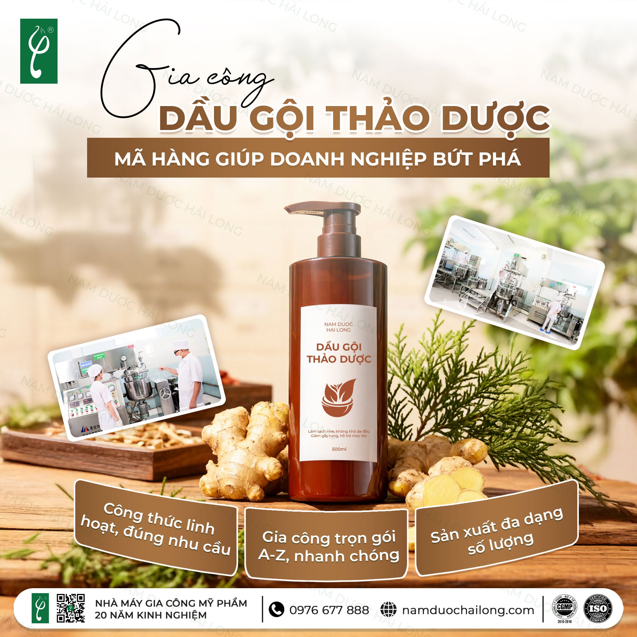 Gia công dầu gội đầu