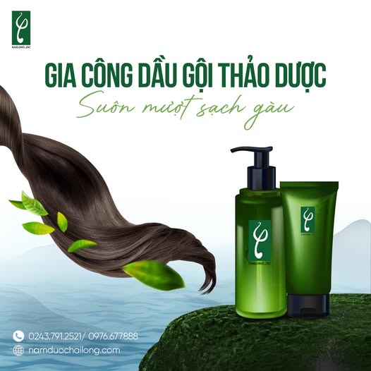 Gia công dầu gội đầu