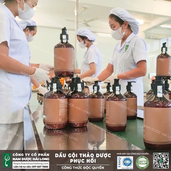 Gia công dầu gội đầu