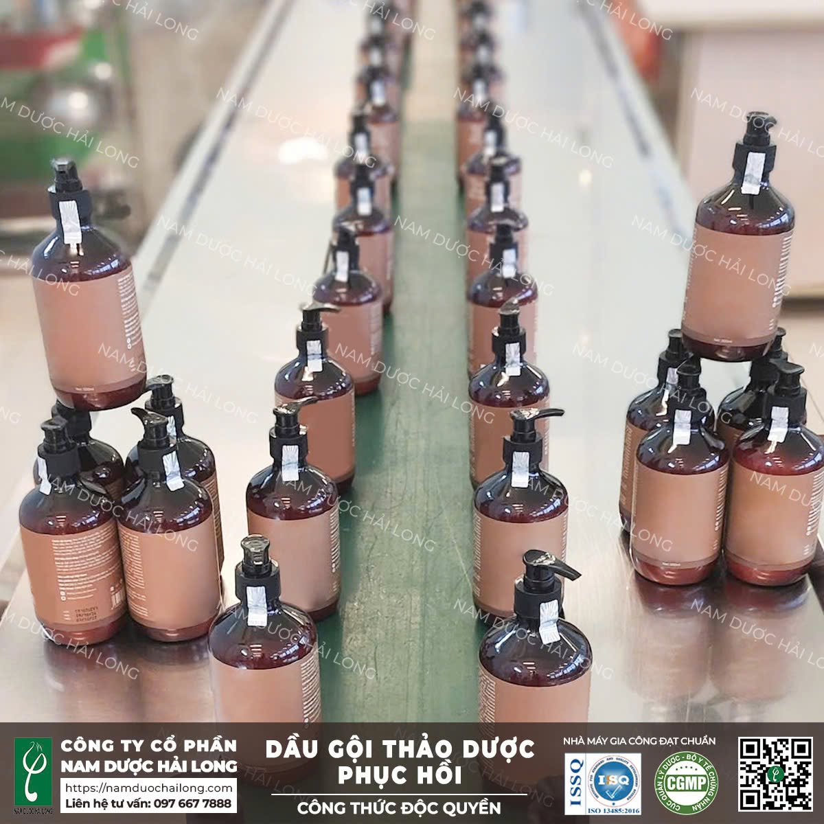 Gia công dầu gội đầu
