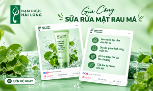 gia cong sua rua mat rau ma 1