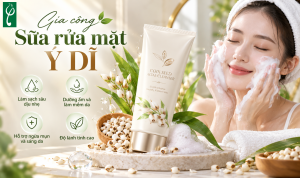 gia cong sua rua mat y di 4