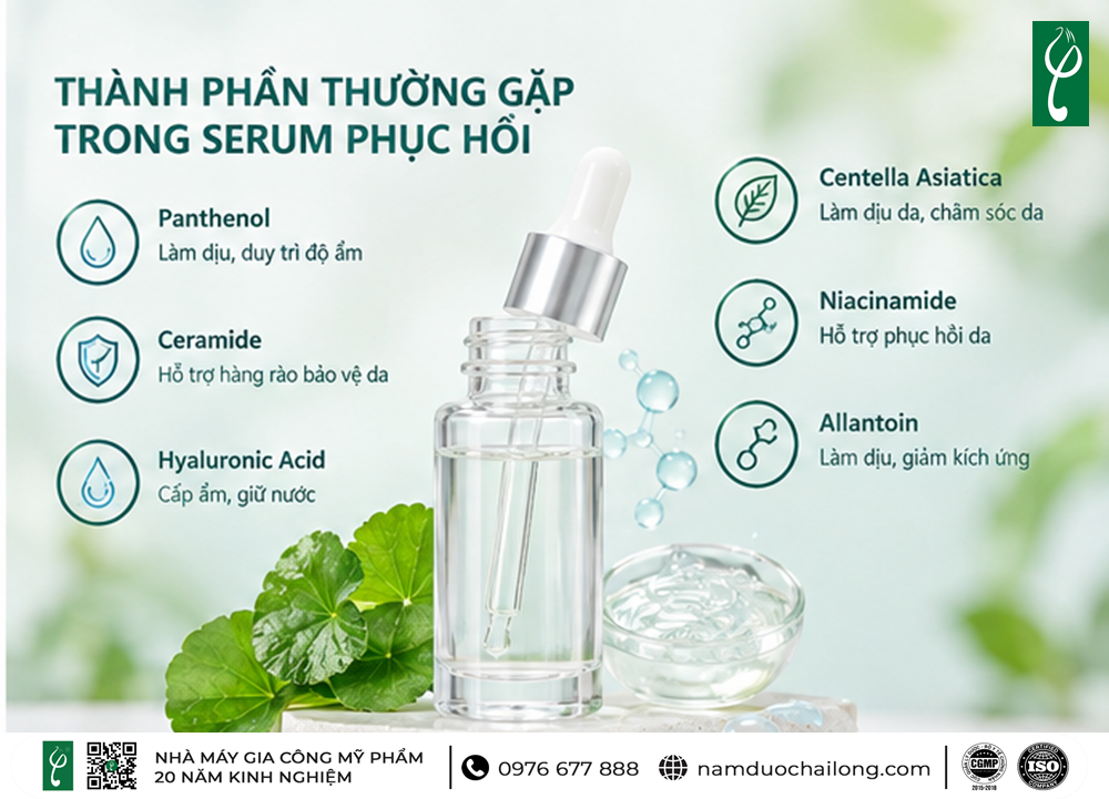 Serum Phục Hồi Là Gì? Công Dụng, Thành Phần & Cách Dùng serum phục hồi