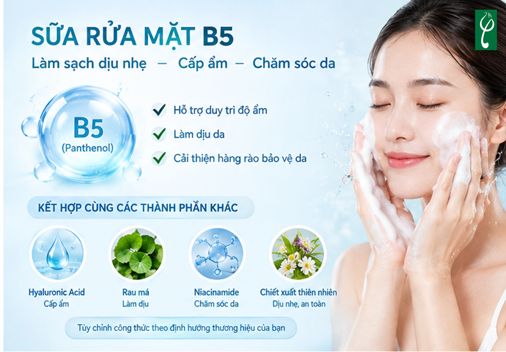 Gia Công Sữa Rửa Mặt B5 Trọn Gói, Công Thức Theo Yêu Cầu Gia Công Sữa Rửa Mặt B5